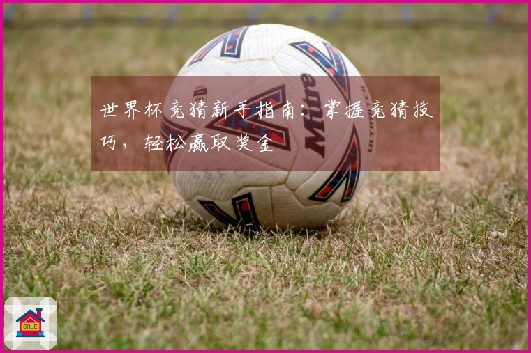 世界杯竞猜新手指南：掌握竞猜技巧，轻松赢取奖金