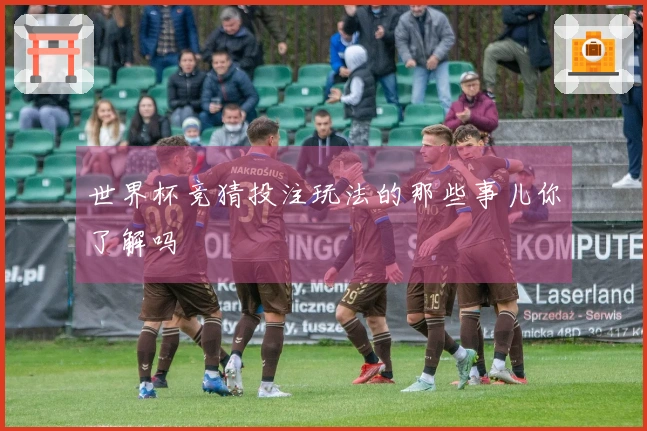 世界杯竞猜投注玩法的那些事儿你了解吗