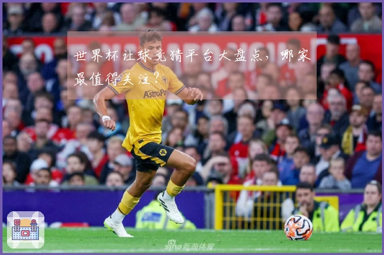 世界杯让球竞猜平台大盘点，哪家最值得关注？