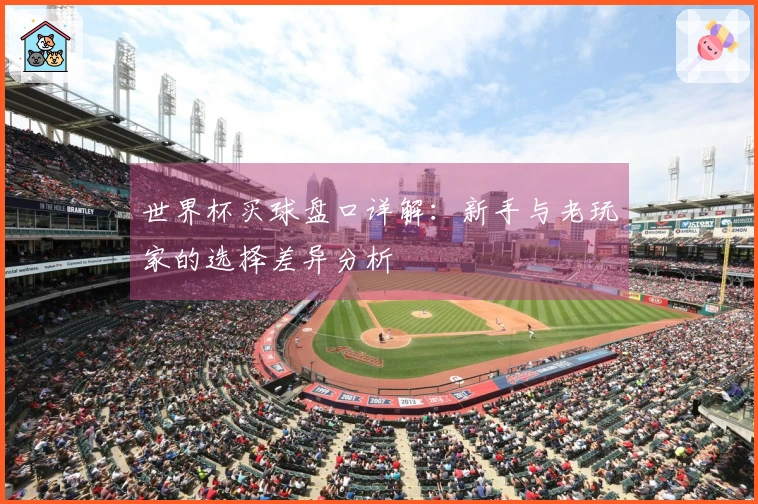 世界杯买球盘口详解：新手与老玩家的选择差异分析