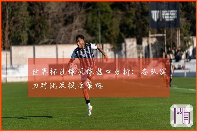世界杯让球买球盘口分析：各队实力对比及投注策略