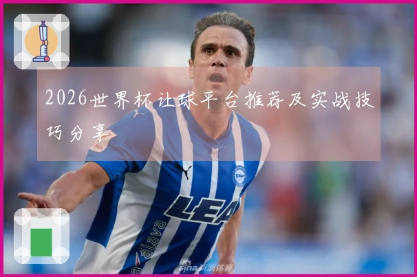 2026世界杯让球平台推荐及实战技巧分享