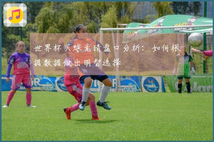 世界杯买球竞猜盘口分析：如何根据数据做出明智选择