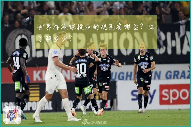 世界杯滚球投注的规则有哪些？你了解多少？