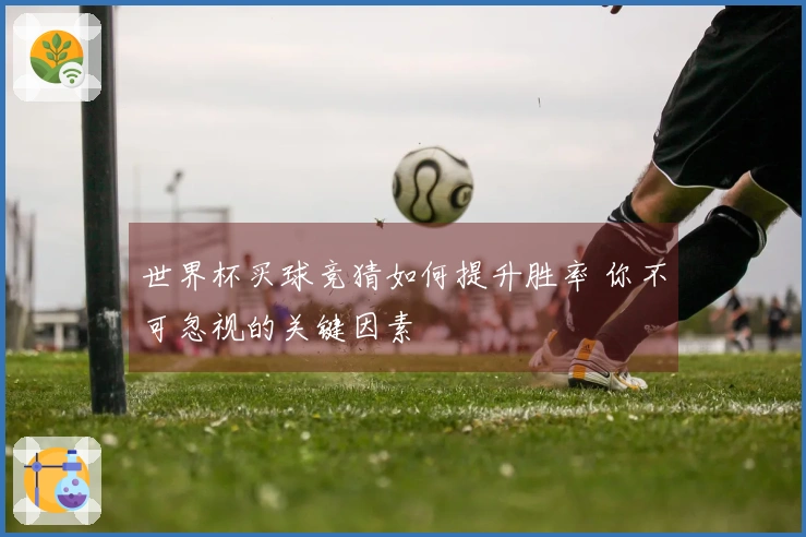 世界杯买球竞猜如何提升胜率 你不可忽视的关键因素