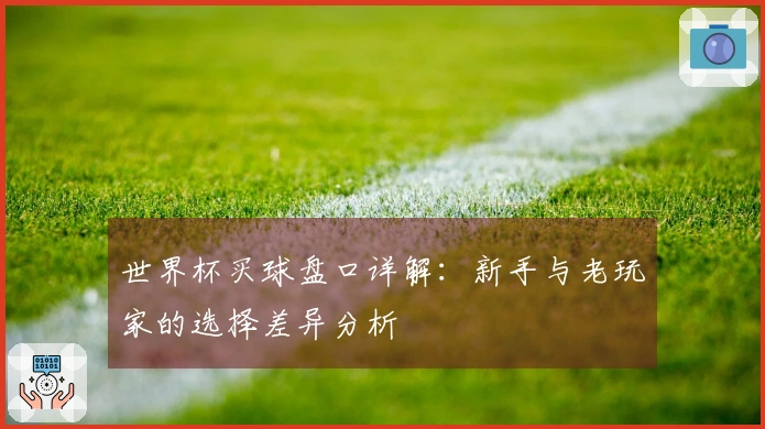 世界杯买球盘口详解：新手与老玩家的选择差异分析